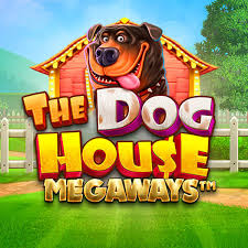 Dog House